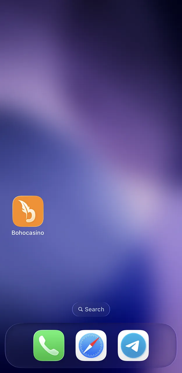 Open the Boho app and familiarise yourself with the interface.