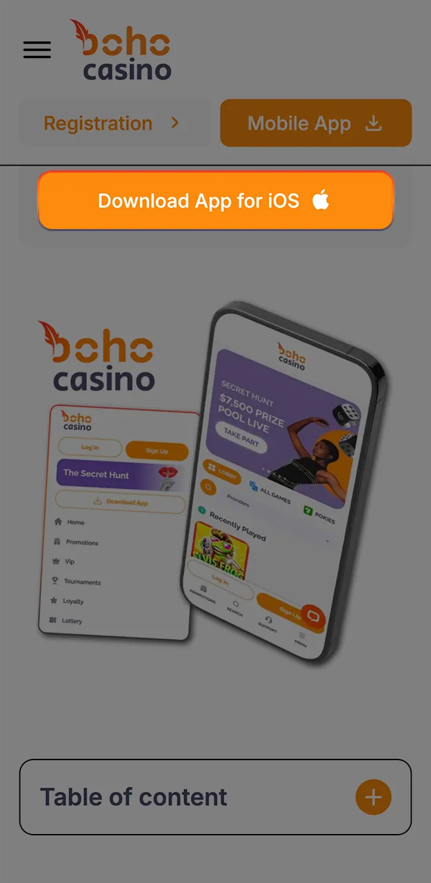 Tap the orange button to start downloading the Boho app for iOS.